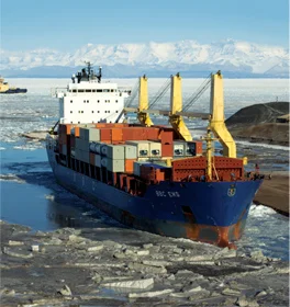 Italfornavi S.r.l. supplier company