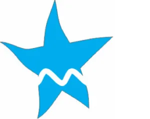 Star Marine International supplier company