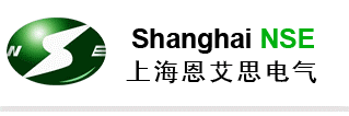 Shanghai NSE service provider company