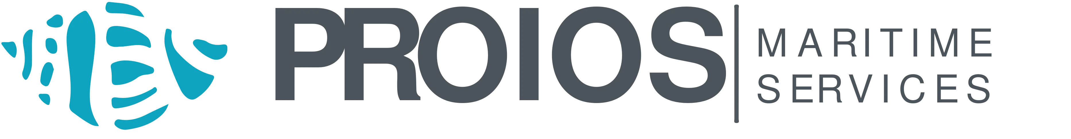 PROIOS S.A. service provider company