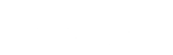 Blue Bird Marines
