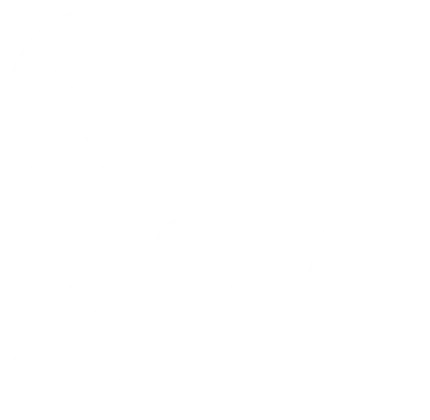 European Cruise Service A/S