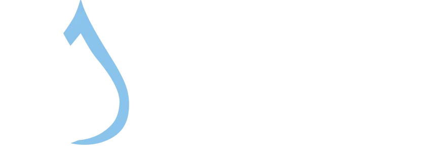 DYNAMIC PORT AGENCIES DENİZCİLİK ANONİM ŞİRKETİ ship agent company