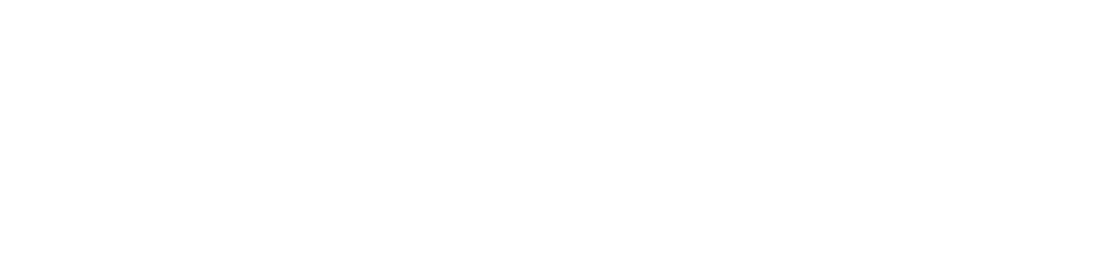 Bandic, Split ship agent company
