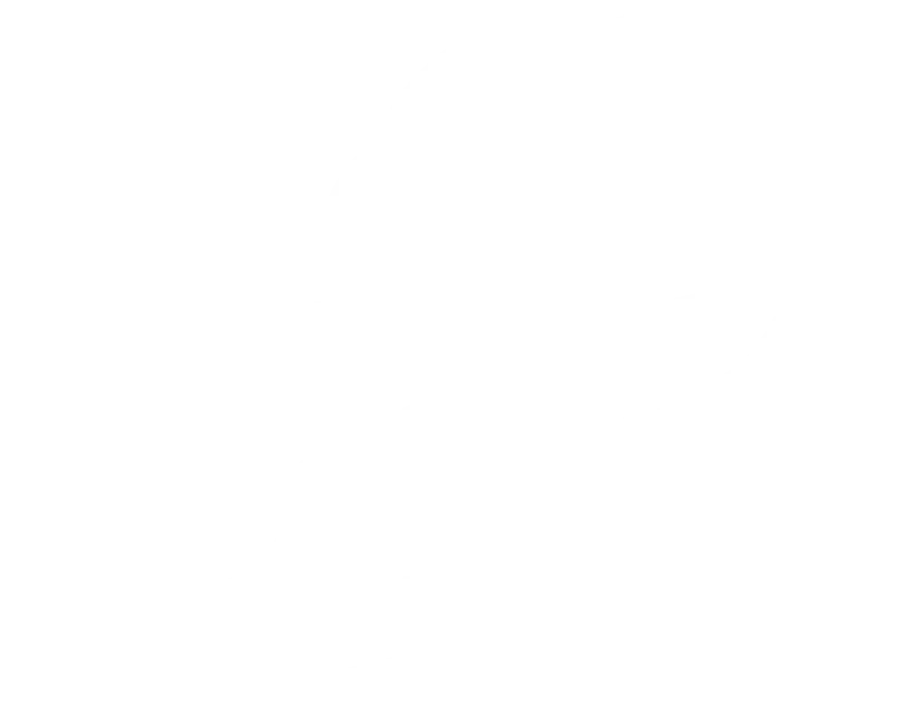 Gans Transport b.v./Gans Cargo Operations Belgium