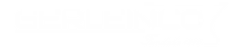 Gerleinco SAS
