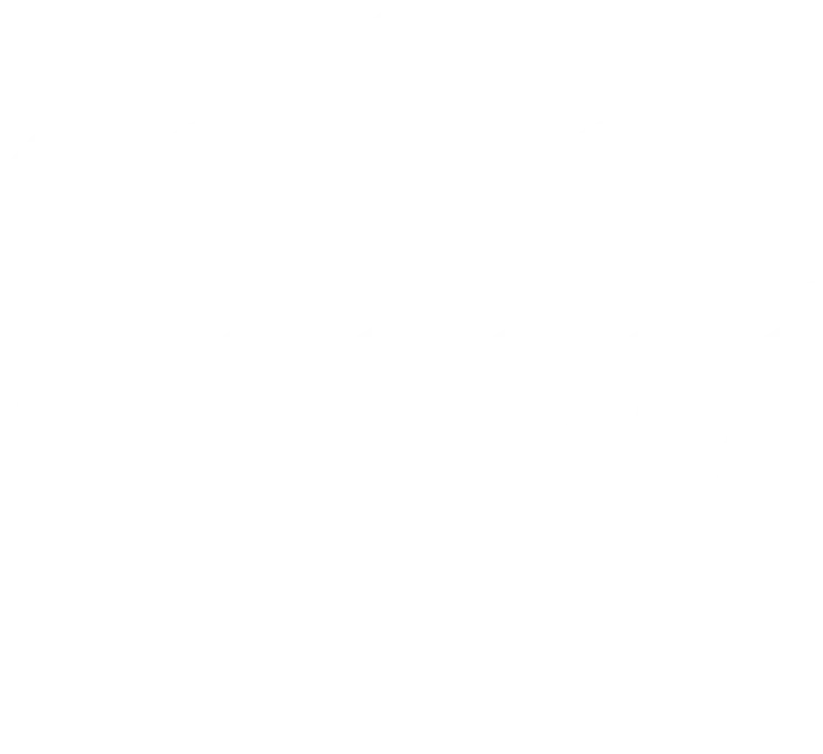 Martima Heinlein S.A. ship agent company