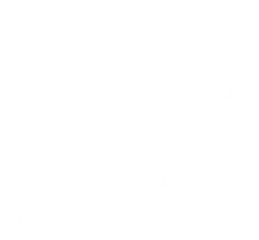 LPX Shipping Agency