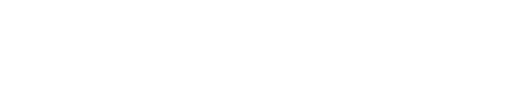 King Bros Limited ship agent company