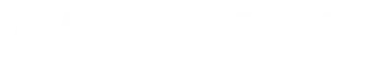 Nesskip ship agent company