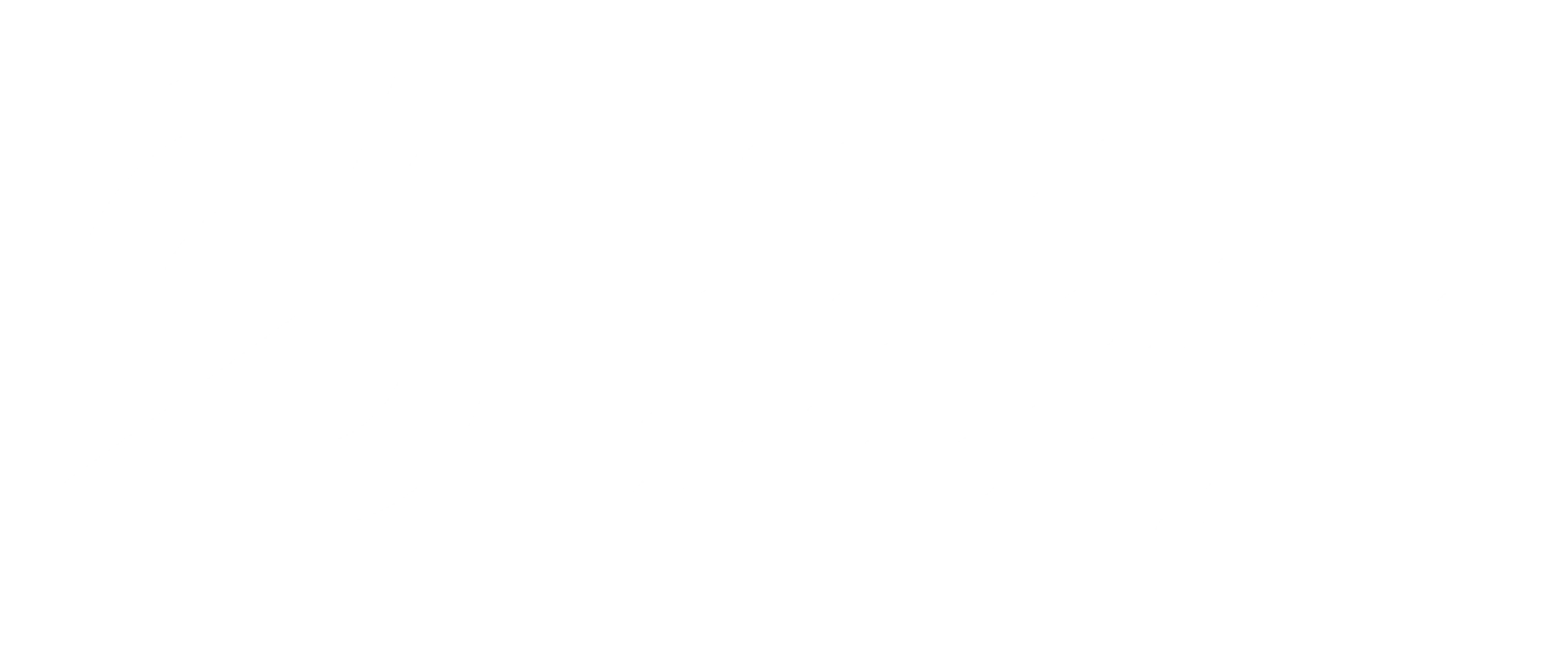Hasnur Int Shipping