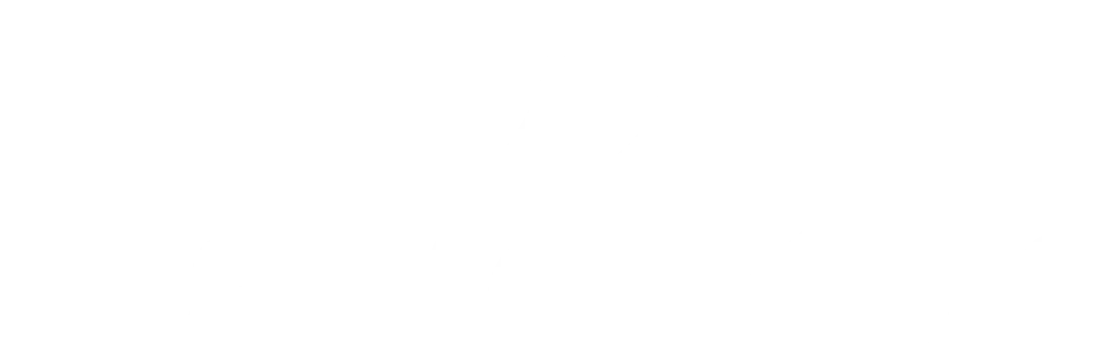 Navonus NV