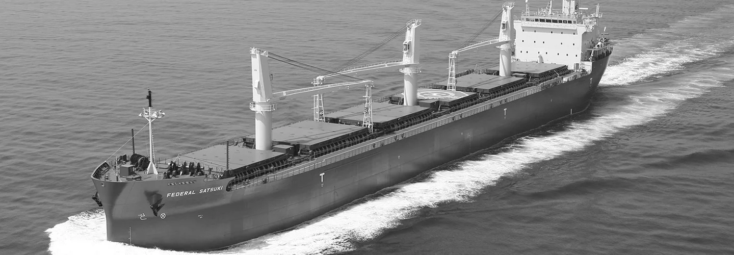 Hai Lang Trading and Transportation