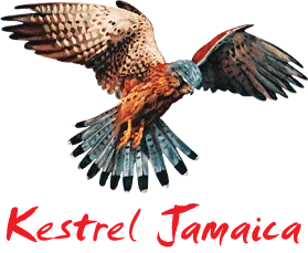 Kestrel Liner Agencies