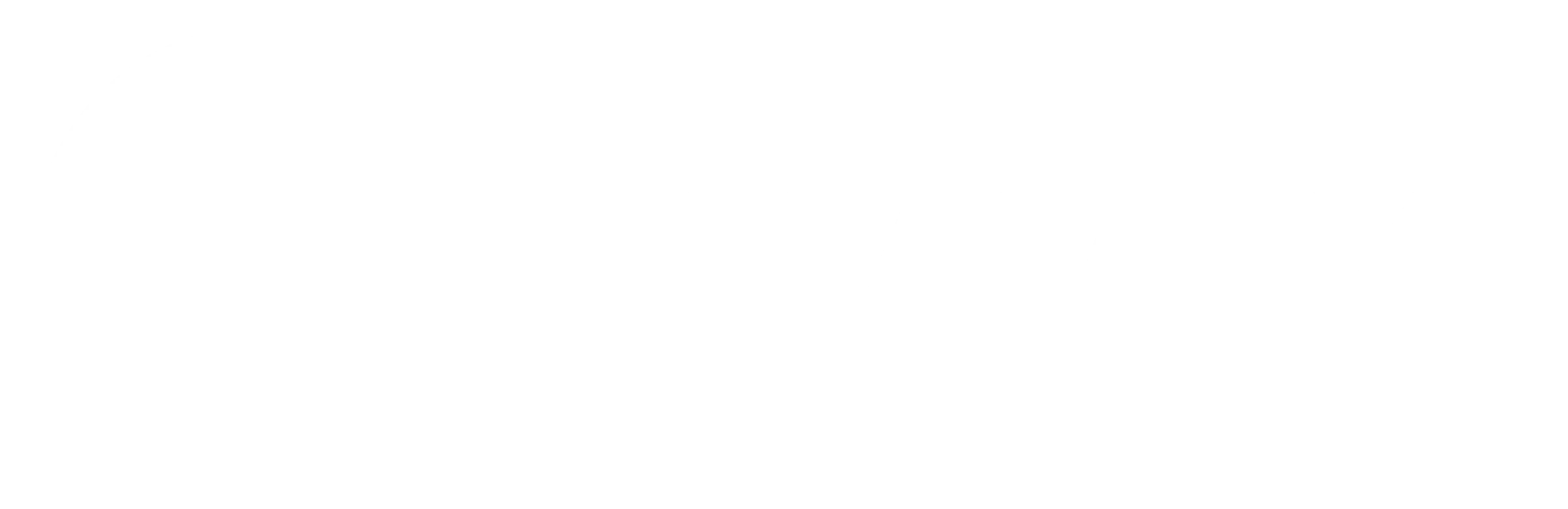 Navex – Empresa Portuguesa de Navegação, S.A.