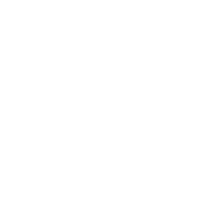 Grupo Meritus ship agent company