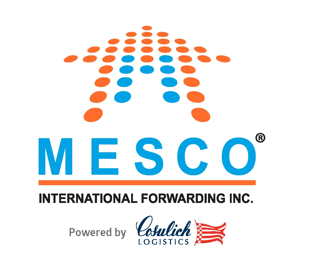 MESCO ULUSLARARASI TAŞIMACILIK İTHALAT İHRACAT TİCARET ANONİM ŞİRKETİ