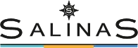 SALİNAS DENİZCİLİK VE TAŞIMACILIK HİZMETLERİ LİMİTED ŞİRKETİ