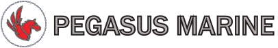 Pegasus Maritime Srl ship agent company