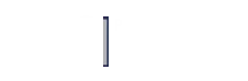 Pars Speed Shipping ship agent company
