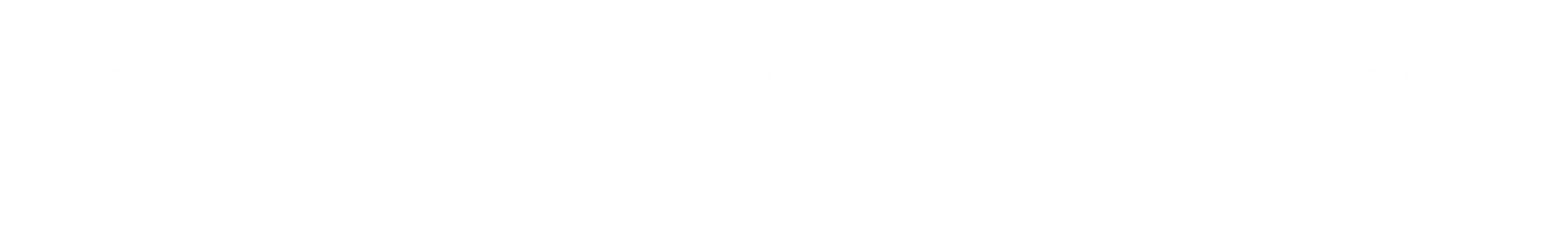 SEVEN OCEAN BUNKERING PVT LTD bunker supplier company