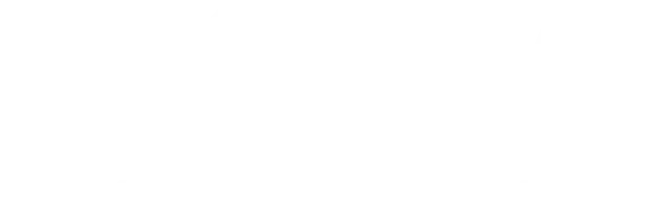 Levantoil bunker supplier company