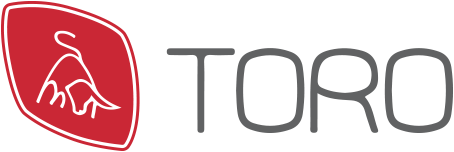 Toro srl service provider company