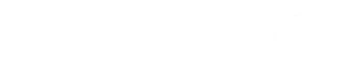 Fleet Management Limited service provider company