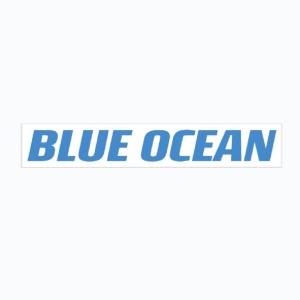 Tianjin Blue Ocean Ship Technology Service Co., Ltd service provider company