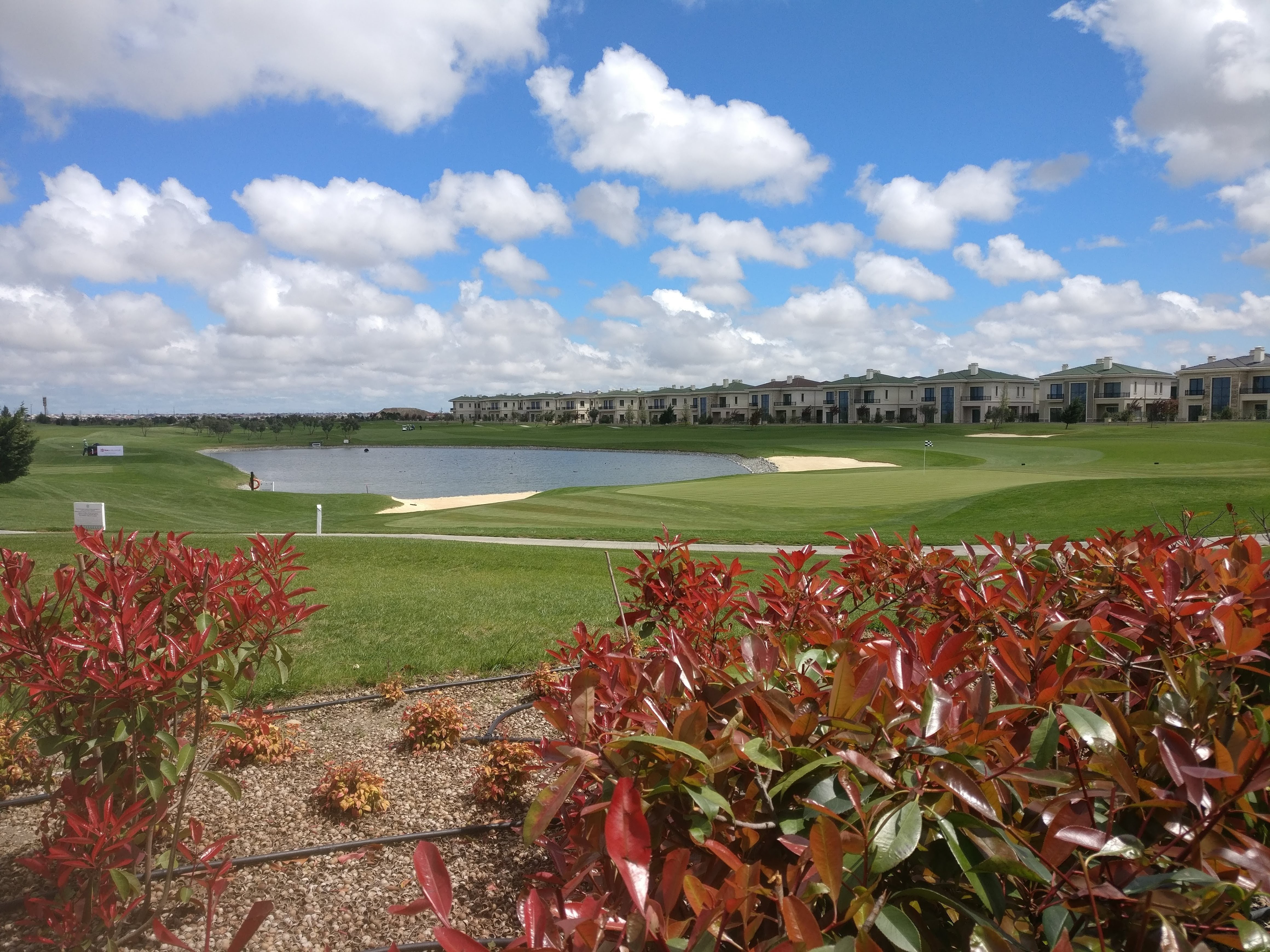 project of magicport