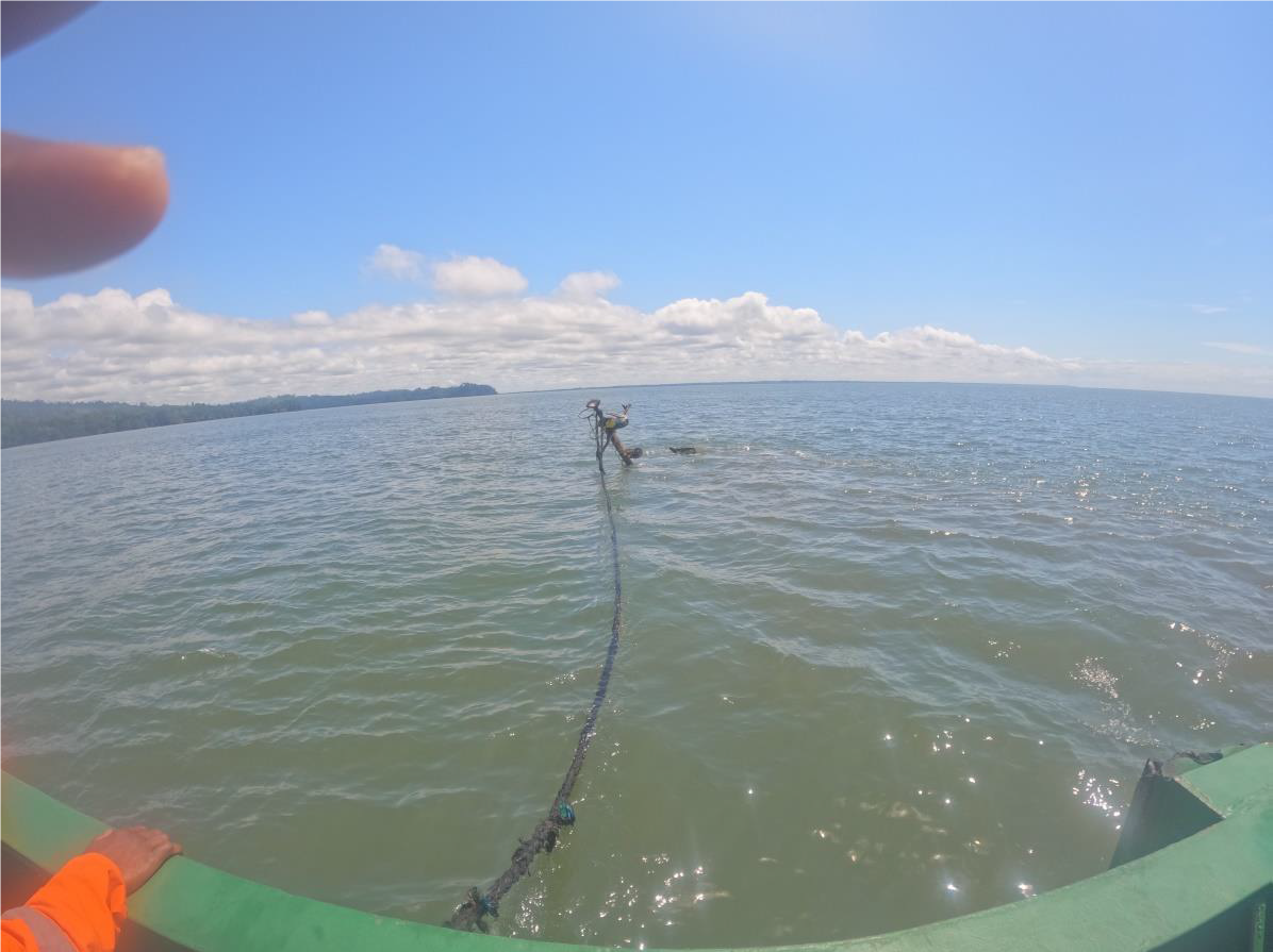 Under water ships wrecks Survey/Inspection on the River Bimbia Estuary enroute to Tiko Port for possible removal.